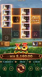 w57 · Buffalo Win